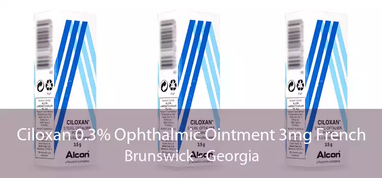 Ciloxan 0.3% Ophthalmic Ointment 3mg French Brunswick - Georgia