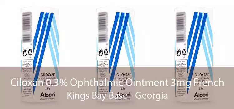 Ciloxan 0.3% Ophthalmic Ointment 3mg French Kings Bay Base - Georgia