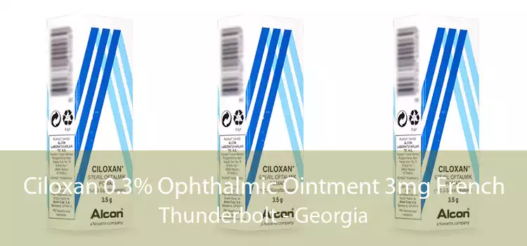 Ciloxan 0.3% Ophthalmic Ointment 3mg French Thunderbolt - Georgia