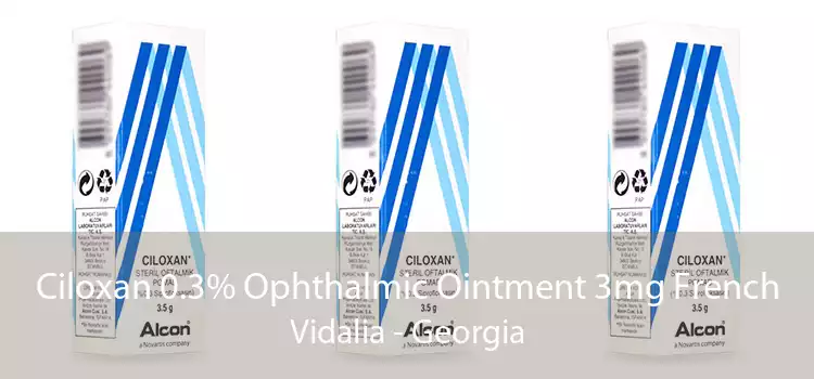 Ciloxan 0.3% Ophthalmic Ointment 3mg French Vidalia - Georgia