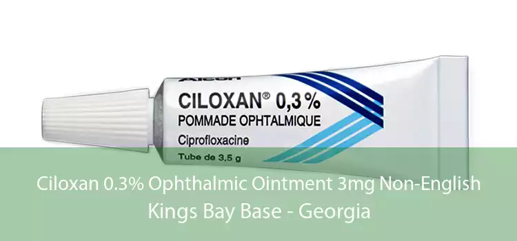 Ciloxan 0.3% Ophthalmic Ointment 3mg Non-English Kings Bay Base - Georgia