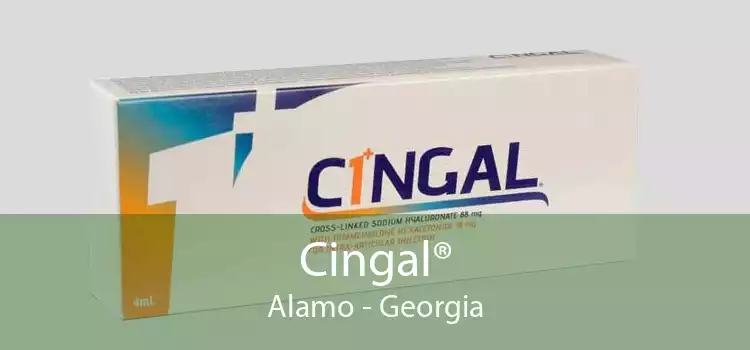 Cingal® Alamo - Georgia