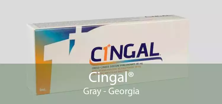 Cingal® Gray - Georgia