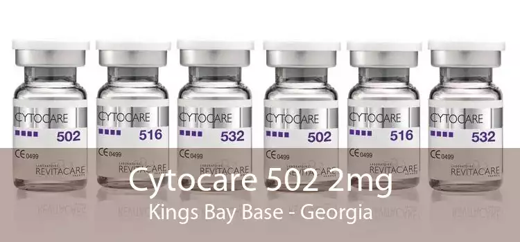 Cytocare 502 2mg Kings Bay Base - Georgia