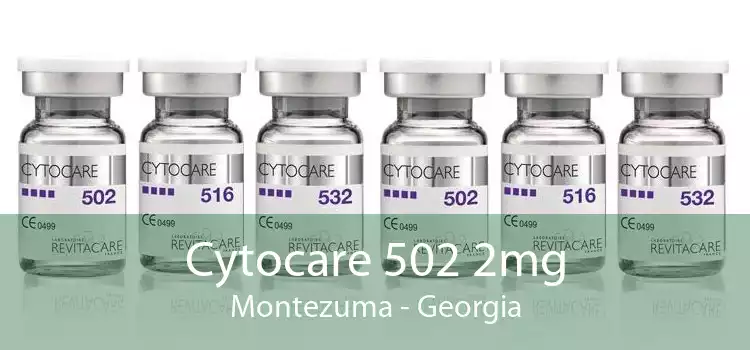 Cytocare 502 2mg Montezuma - Georgia