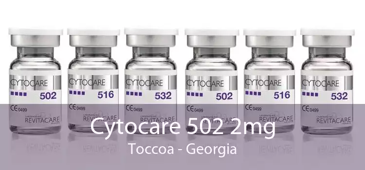 Cytocare 502 2mg Toccoa - Georgia