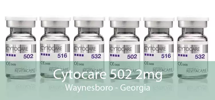 Cytocare 502 2mg Waynesboro - Georgia