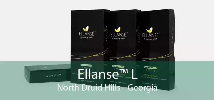 Ellanse™ L North Druid Hills - Georgia