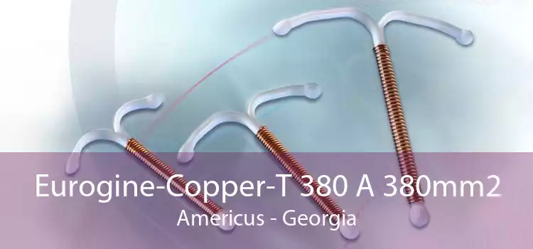Eurogine-Copper-T 380 A 380mm2 Americus - Georgia