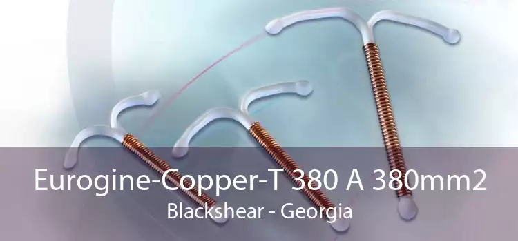 Eurogine-Copper-T 380 A 380mm2 Blackshear - Georgia