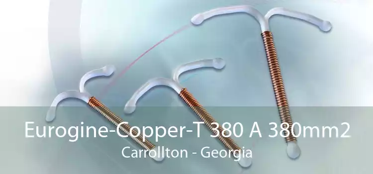 Eurogine-Copper-T 380 A 380mm2 Carrollton - Georgia