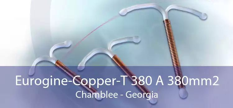 Eurogine-Copper-T 380 A 380mm2 Chamblee - Georgia