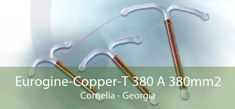Eurogine-Copper-T 380 A 380mm2 Cornelia - Georgia