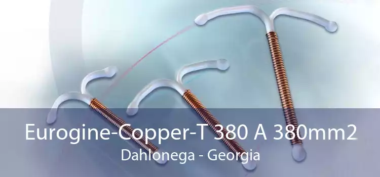 Eurogine-Copper-T 380 A 380mm2 Dahlonega - Georgia