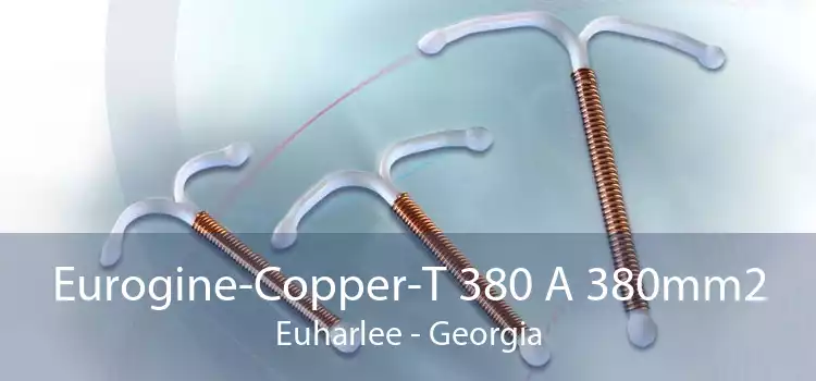 Eurogine-Copper-T 380 A 380mm2 Euharlee - Georgia