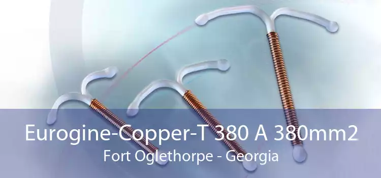 Eurogine-Copper-T 380 A 380mm2 Fort Oglethorpe - Georgia