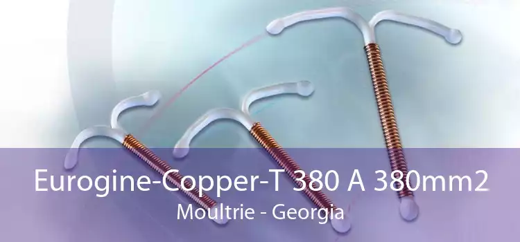 Eurogine-Copper-T 380 A 380mm2 Moultrie - Georgia