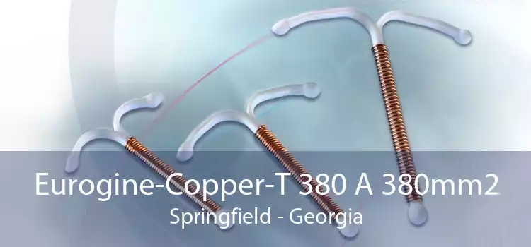 Eurogine-Copper-T 380 A 380mm2 Springfield - Georgia