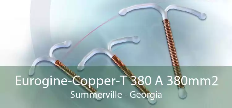 Eurogine-Copper-T 380 A 380mm2 Summerville - Georgia
