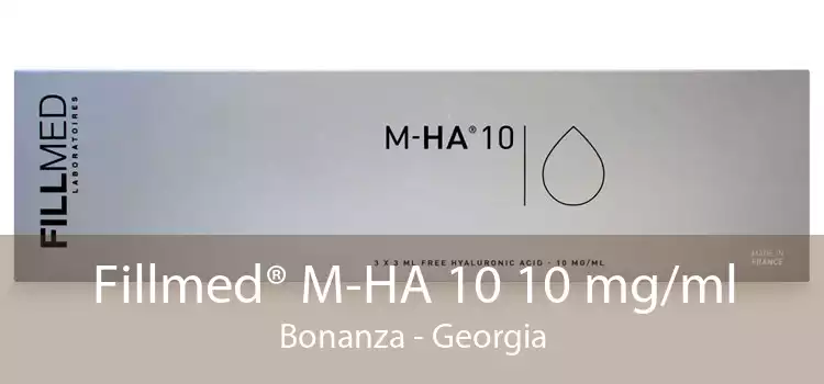 Fillmed® M-HA 10 10 mg/ml Bonanza - Georgia