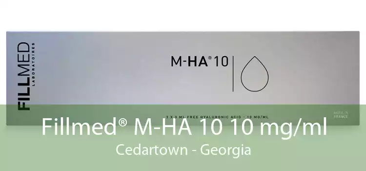 Fillmed® M-HA 10 10 mg/ml Cedartown - Georgia