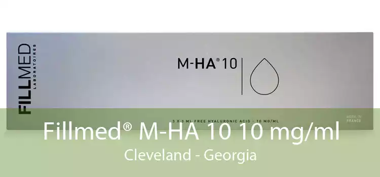 Fillmed® M-HA 10 10 mg/ml Cleveland - Georgia