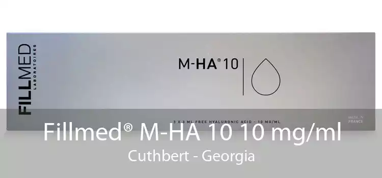 Fillmed® M-HA 10 10 mg/ml Cuthbert - Georgia