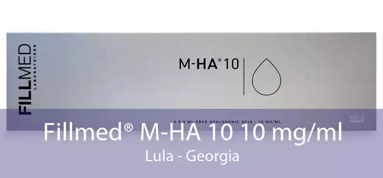 Fillmed® M-HA 10 10 mg/ml Lula - Georgia
