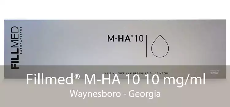 Fillmed® M-HA 10 10 mg/ml Waynesboro - Georgia