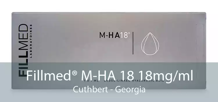 Fillmed® M-HA 18 18mg/ml Cuthbert - Georgia