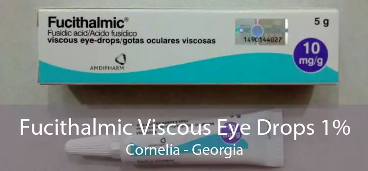 Fucithalmic Viscous Eye Drops 1% Cornelia - Georgia