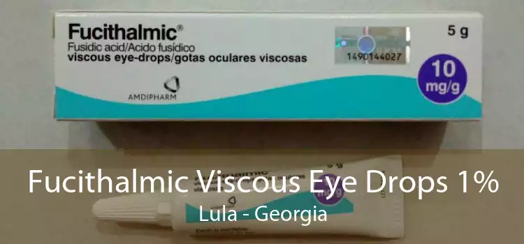 Fucithalmic Viscous Eye Drops 1% Lula - Georgia