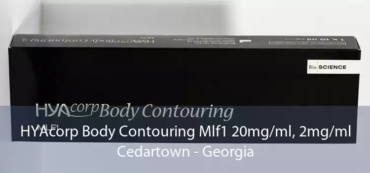 HYAcorp Body Contouring Mlf1 20mg/ml, 2mg/ml Cedartown - Georgia