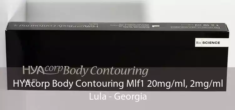 HYAcorp Body Contouring Mlf1 20mg/ml, 2mg/ml Lula - Georgia