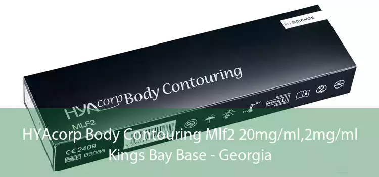 HYAcorp Body Contouring Mlf2 20mg/ml,2mg/ml Kings Bay Base - Georgia