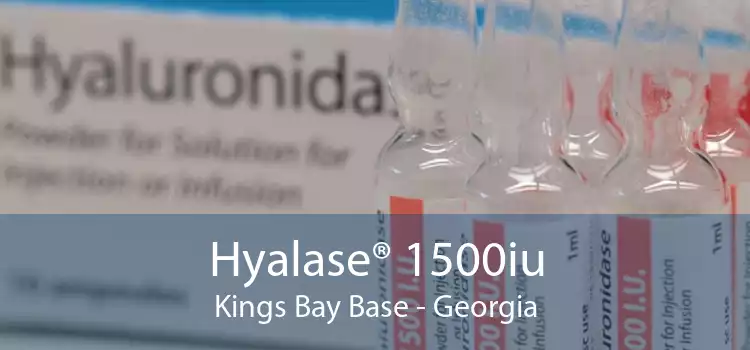 Hyalase® 1500iu Kings Bay Base - Georgia