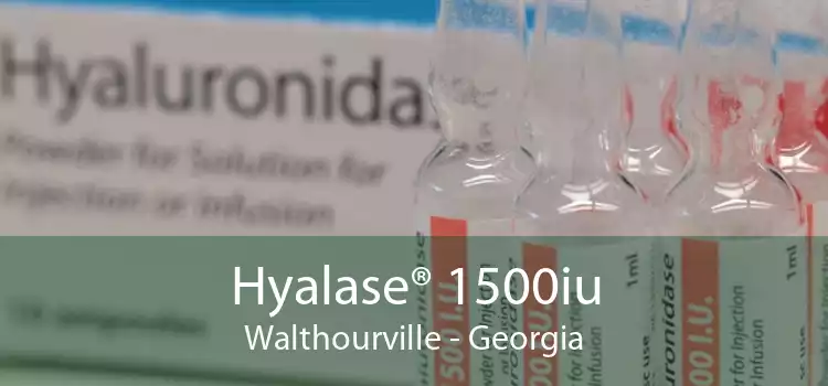 Hyalase® 1500iu Walthourville - Georgia