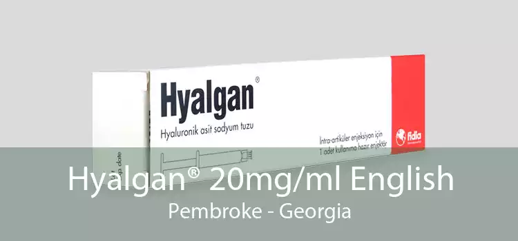 Hyalgan® 20mg/ml English Pembroke - Georgia