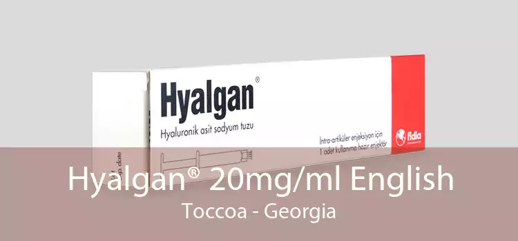 Hyalgan® 20mg/ml English Toccoa - Georgia