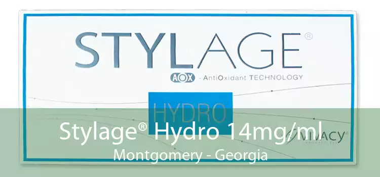 Stylage® Hydro 14mg/ml Montgomery - Georgia