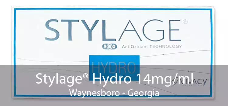 Stylage® Hydro 14mg/ml Waynesboro - Georgia