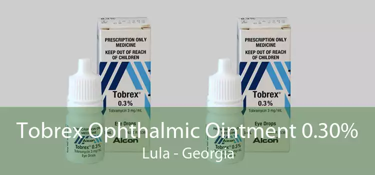 Tobrex Ophthalmic Ointment 0.30% Lula - Georgia